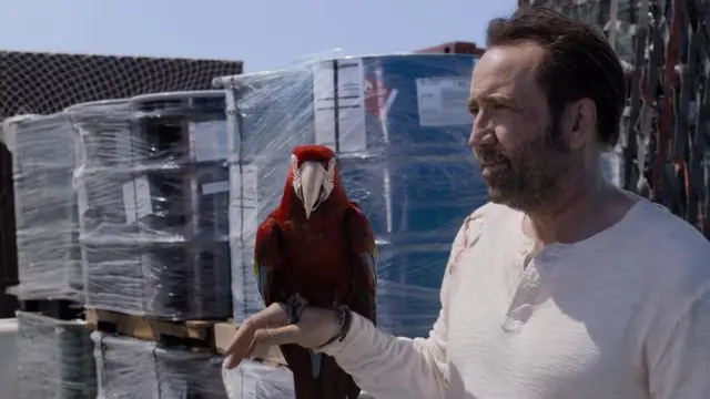 Nicolas Cage