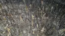 Dengan ratusan kebakaran hutan di Kanada yang mengirimkan asap ke seluruh Amerika Serikat bagian utara. (AP Photo/Noah Berger)