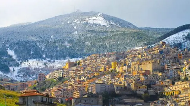 Cammarata