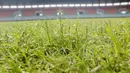 Rumput lapangan di Stadion Pakansari, Bogor, Selasa (3/3/2020). Stadion tersebut merupakan salah satu kandidat veneu untuk piala dunia U-20 pada 2021. (Bola.com/M Iqbal Ichsan)