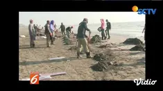 Puluhan warga di Karawang, Jawa Barat, bantu membersihkan tumpahan minyak Pertamina akibat kebocoran.