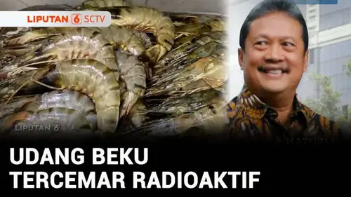 VIDEO: Amerika Boikot Udang Beku Asal Indonesia karena Tercemar Radioaktif