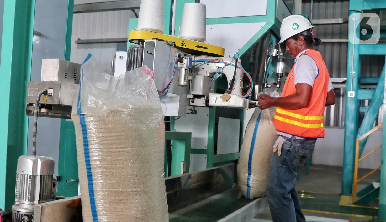 Pekerja mengemas beras yang diolah secara modern dengan mesin Modern Rice Milling Plant (MRMP) di Karawang, Jawa Barat, Rabu (21/9/2022). Infrastruktur MRMP ini terdiri dari mesin pengering (dryer), unit penggilingan padi (RMU) sebagai mesin konversi gabah menjadi beras, dan dilengkapi teknologi penyortir warna (color sorter). (Liputan6.com/Angga Yuniar)