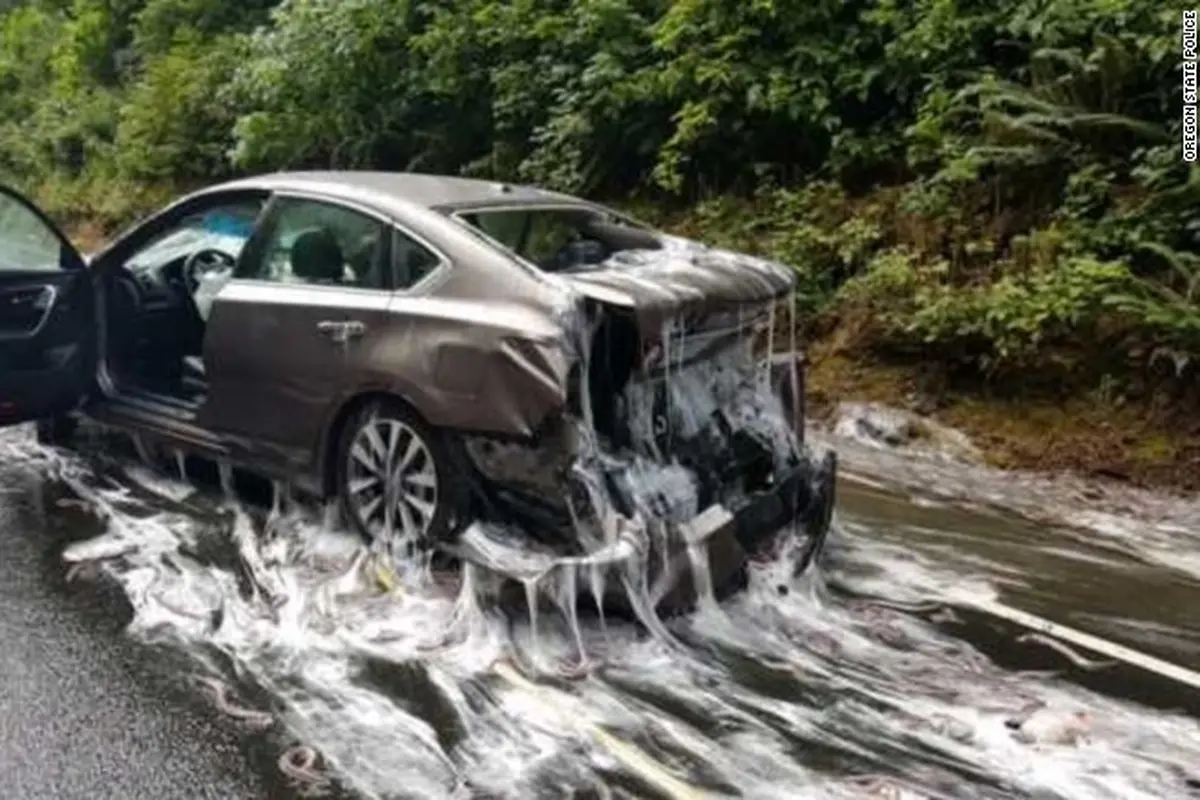 Belut tumpah di jalanan Oregon, Amerika Serikat. (Oregon State Police)