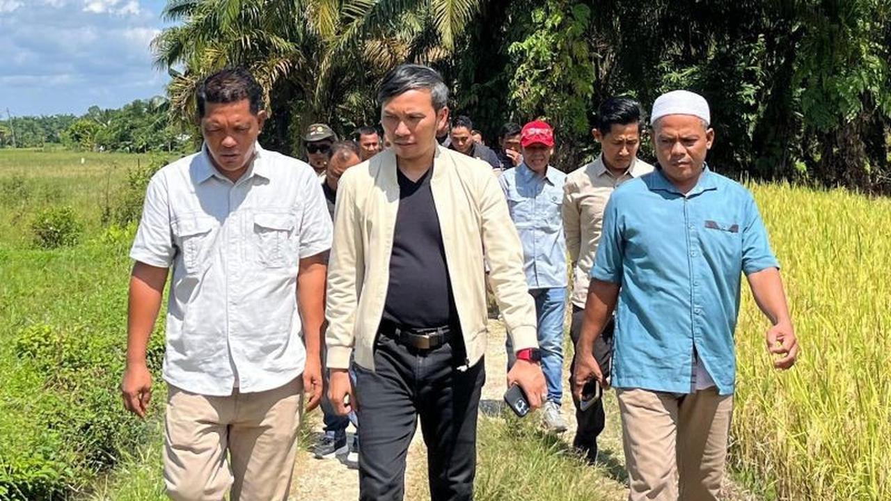 Terkuak, Lebih dari 5.000 Kasus Masalah Lahan Transmigrasi Menanti Solusi Pemerintah