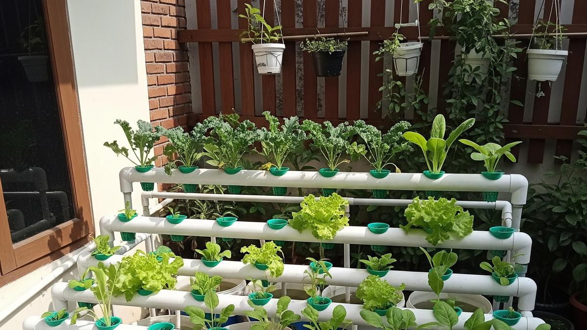 9 Cara Membuat Kebun Hidroponik Sederhana dari Pipa PVC di Halaman Rumah