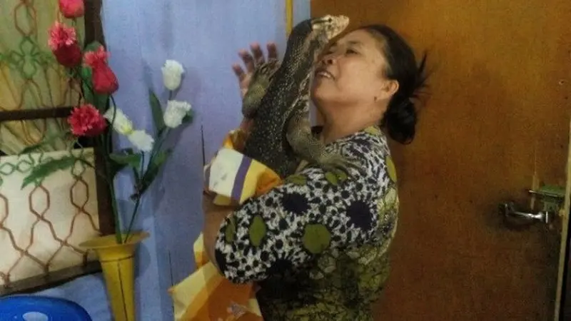 Biawak Pasangan Kembar Anak Manusia Gegerkan Warga Palopo