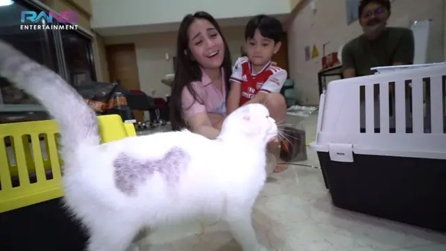 Nagita Slavina Punya Kucing Baru dari Rusia dan Ukraina, Berapa Harganya?