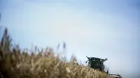 Pemanen gabungan bekerja di ladang saat memanen jali jali pada 17 Juni 2014 di milford, Delaware, Amerika Serikat. Pertanian dengan teknologi tinggi yang menggantikan pertanian tradisional (dok. BRENDAN SMIALOWSKI / AFP)