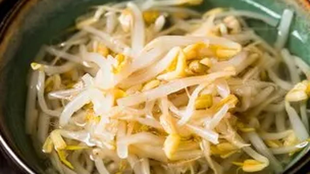 Makan Taoge dan Kesuburan, Mitos atau Fakta?