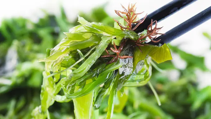 (c) shutterstock.com