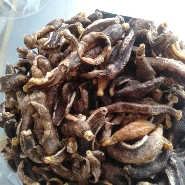 Keripik Teripang Khas Gresik