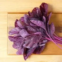 Daun Bayam Merah Sayur (Credit: Shutterstock/lovelypeace)