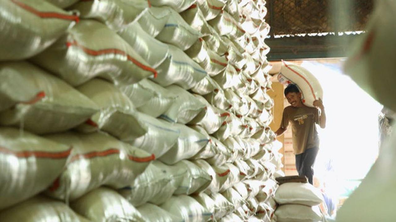 Polemik Impor Beras Masih Menunggu Data Produksi Beras dari BPS