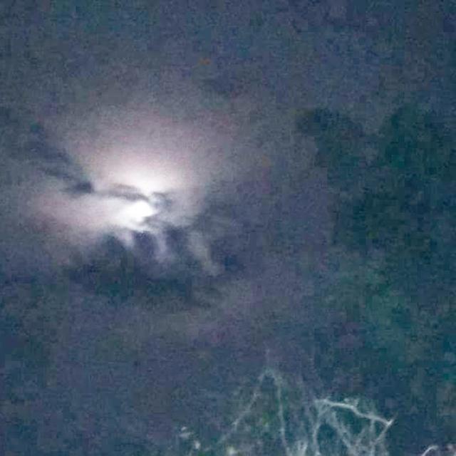 6 Penampakan Lafaz Allah Yang Bikin Heboh Regional Liputan6 Com