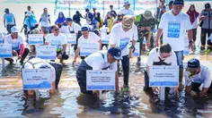 Kementerian Lingkungan Hidup Pulihkan Ekosistem Mangrove di NTB