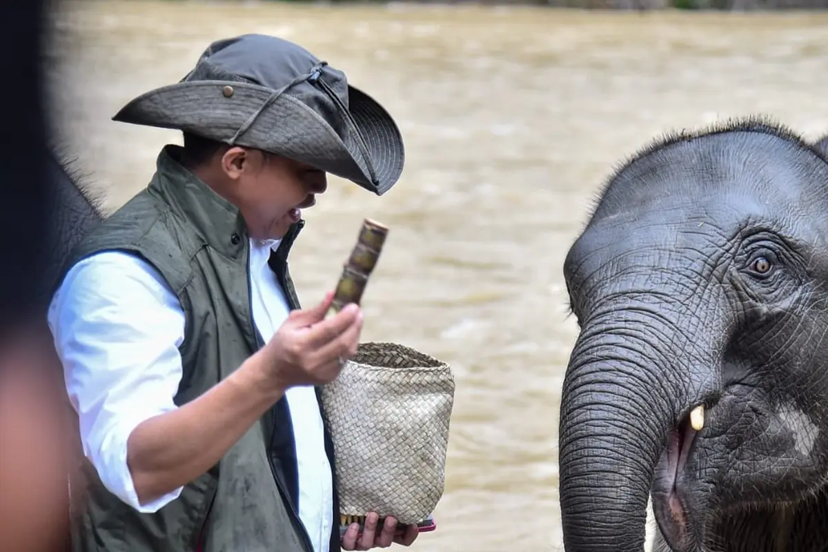 Menteri Kehutanan (Menhut) Raja Juli Antoni melakukan kunjungan ke Tangkahan, Kabupaten Langkat, Sumatera Utara.
