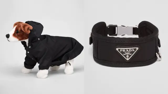 Prada jual mantel untuk anjing yang terinspirasi dari manusia