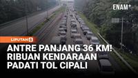 Antre Panjang 36 KM! Ribuan Kendaraan Padati Tol Cipali