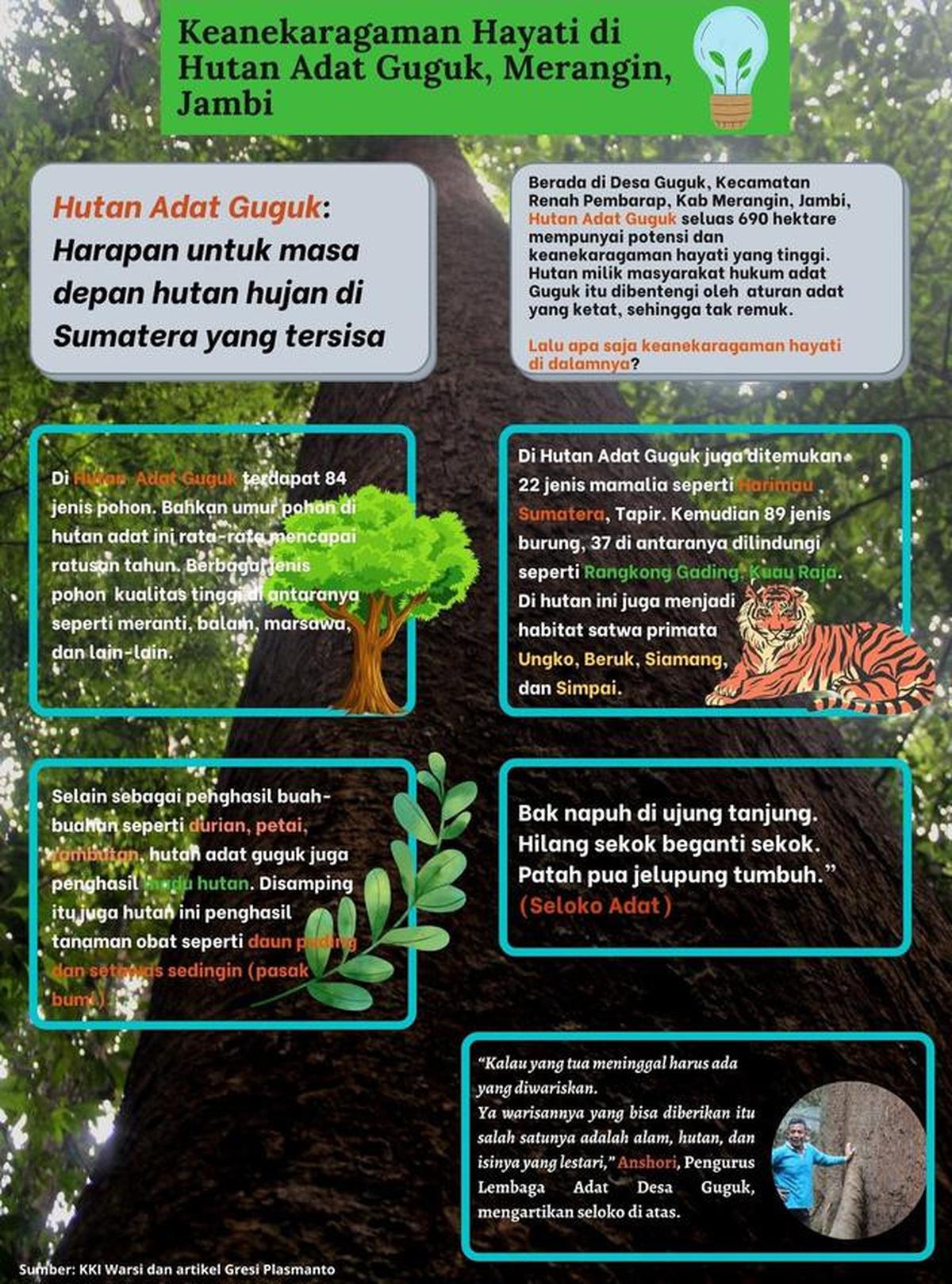 Infografis keragaman hayati Hutan Adat Guguk. (Liputan6.com/Gresi Plasmanto)