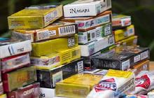 Apindo Khawatir Wacana Aturan Rokok Kemasan Polos Bikin Konsumen Beralih ke Produk Lebih Murah
