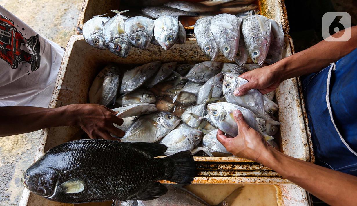 Selain mudah diolah dan harga terjangkau, ikan juga mudah ditemui di berbagai pasar serta memiliki kandungan gizi yang bermanfaat bagi kesehatan. (Liputan6.com/Angga Yuniar)