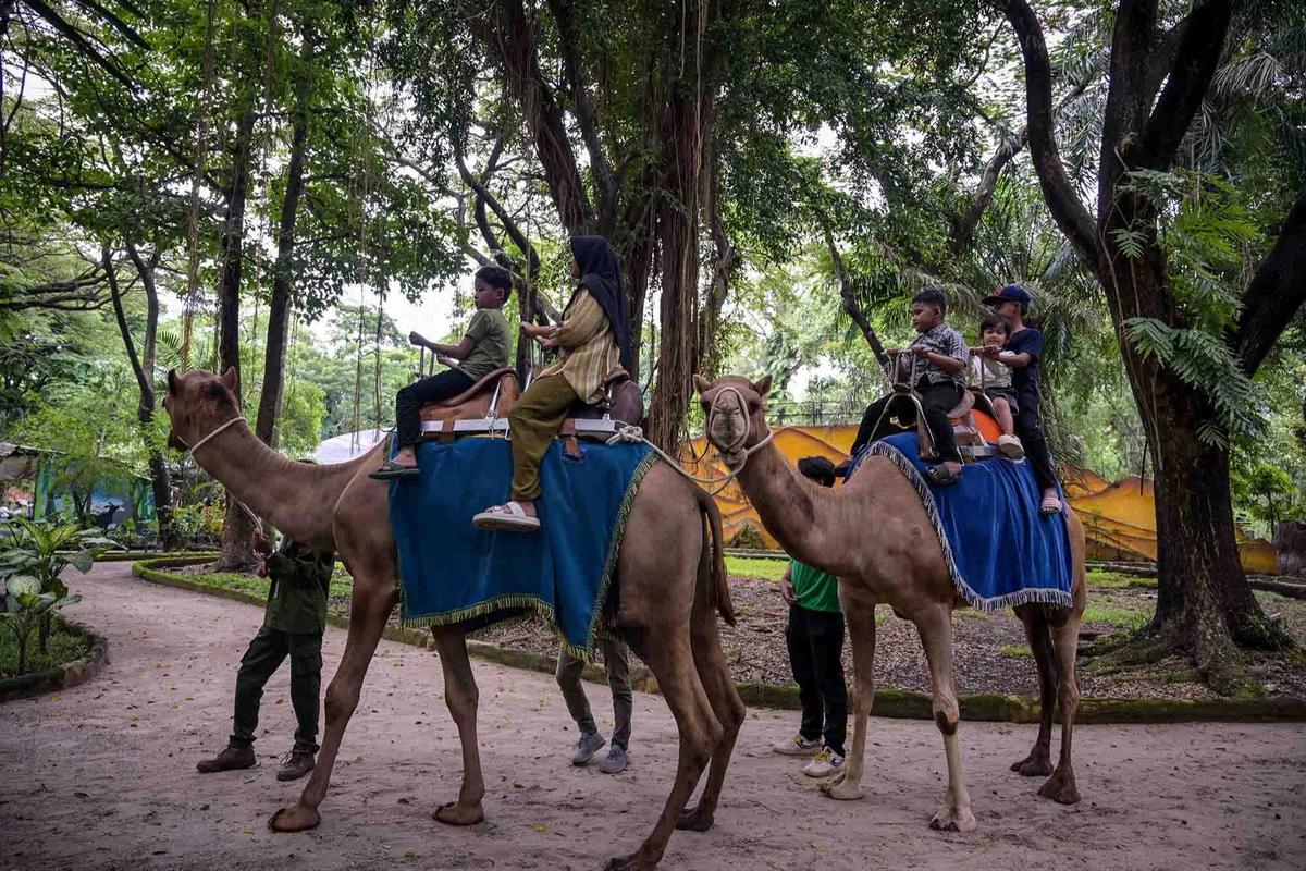 FOTO: Kebun Binatang Surabaya Jadi Pilihan Wisata Edukatif Selama Libur Akhir Tahun