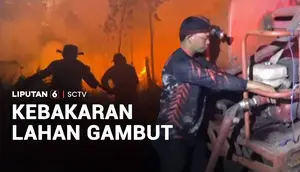 Kebakaran Lahan Gambut