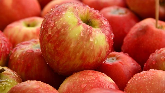buah apel