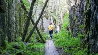 Ulko-Tammio di Finlandia mendesak turisnya untuk menikmati alam tanpa sibuk dengan ponsel. (Dok: Instagram @luontoon.fi)