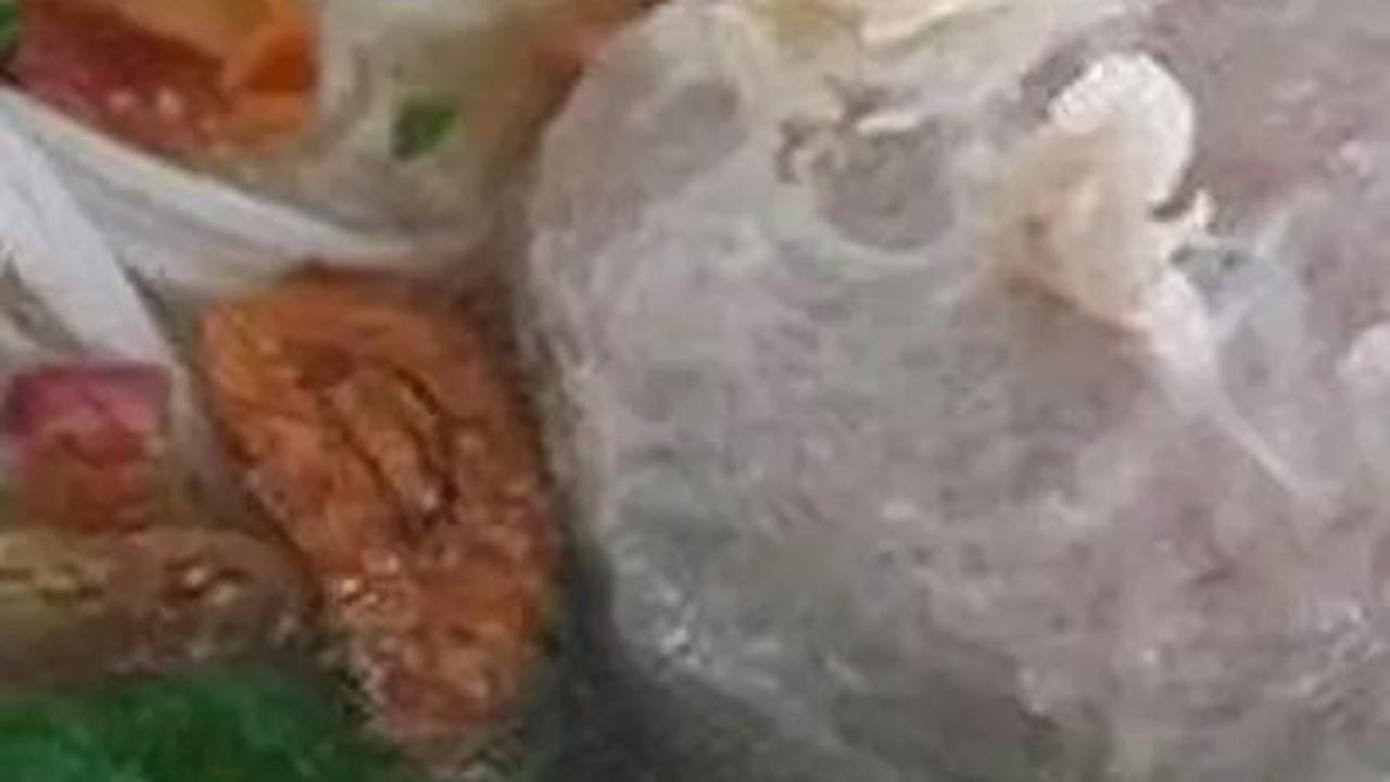 Bakso Sapi Beranak<br>