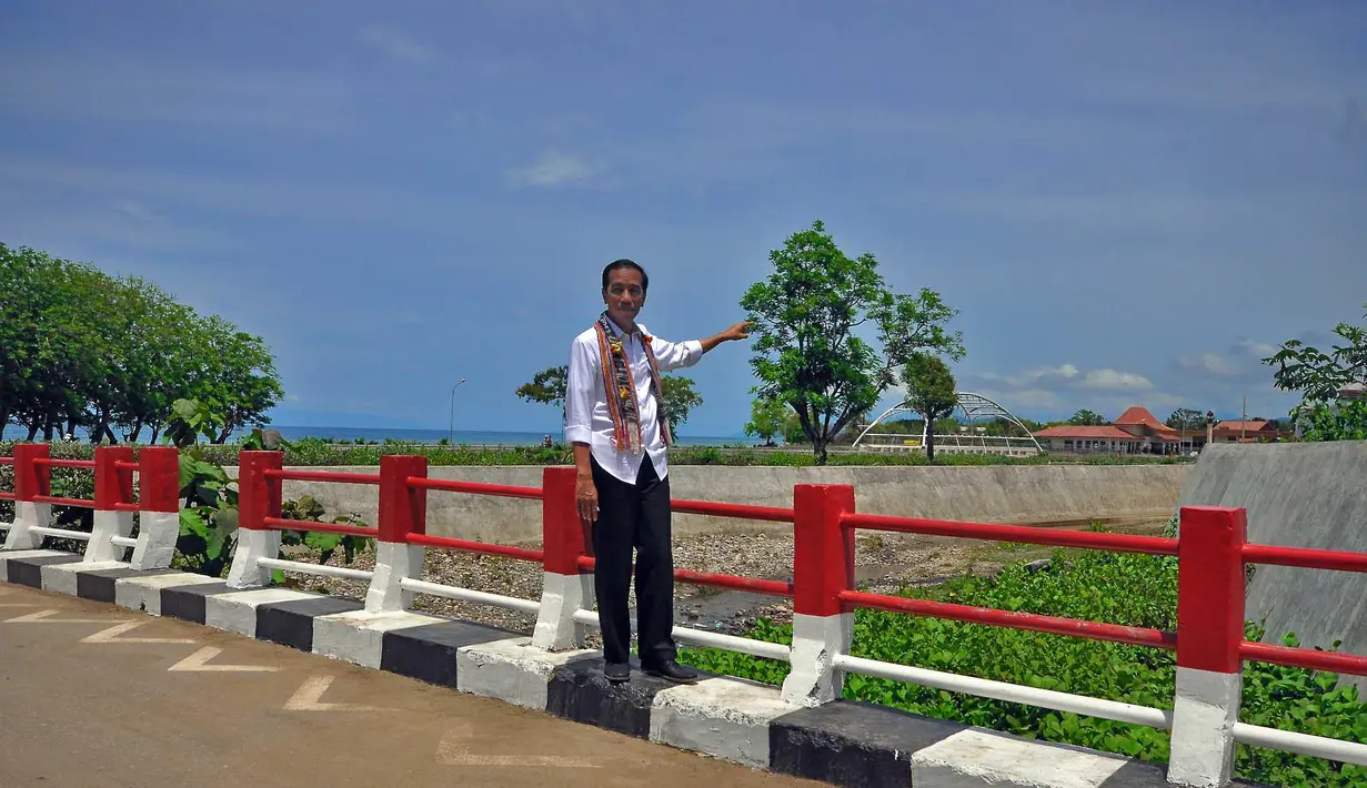 Presiden Joko Widodo saat berada di perbatasan Indonesia - Timor Leste, NTT, Sabtu (20/12/2014). (Rumgapres/Agus Suparto)
