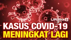 THUMBNAIL ANIES