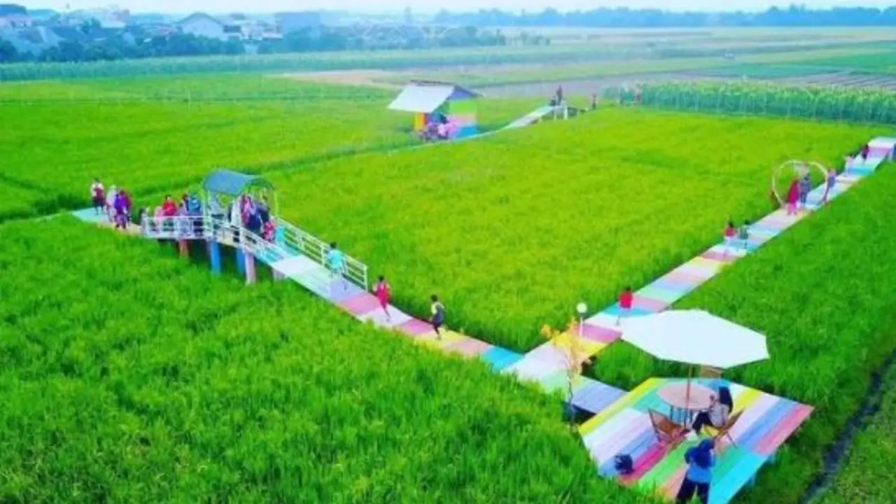 Wisata edukasi sawah Gatra Kencana Bojonangka di Kabupaten Pemalang, Jawa Tengah