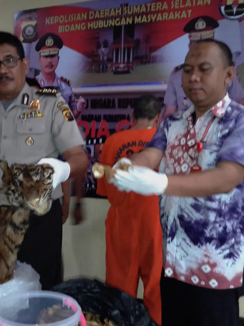 Kulit harimau