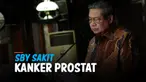 THUMBNAIL SBY
