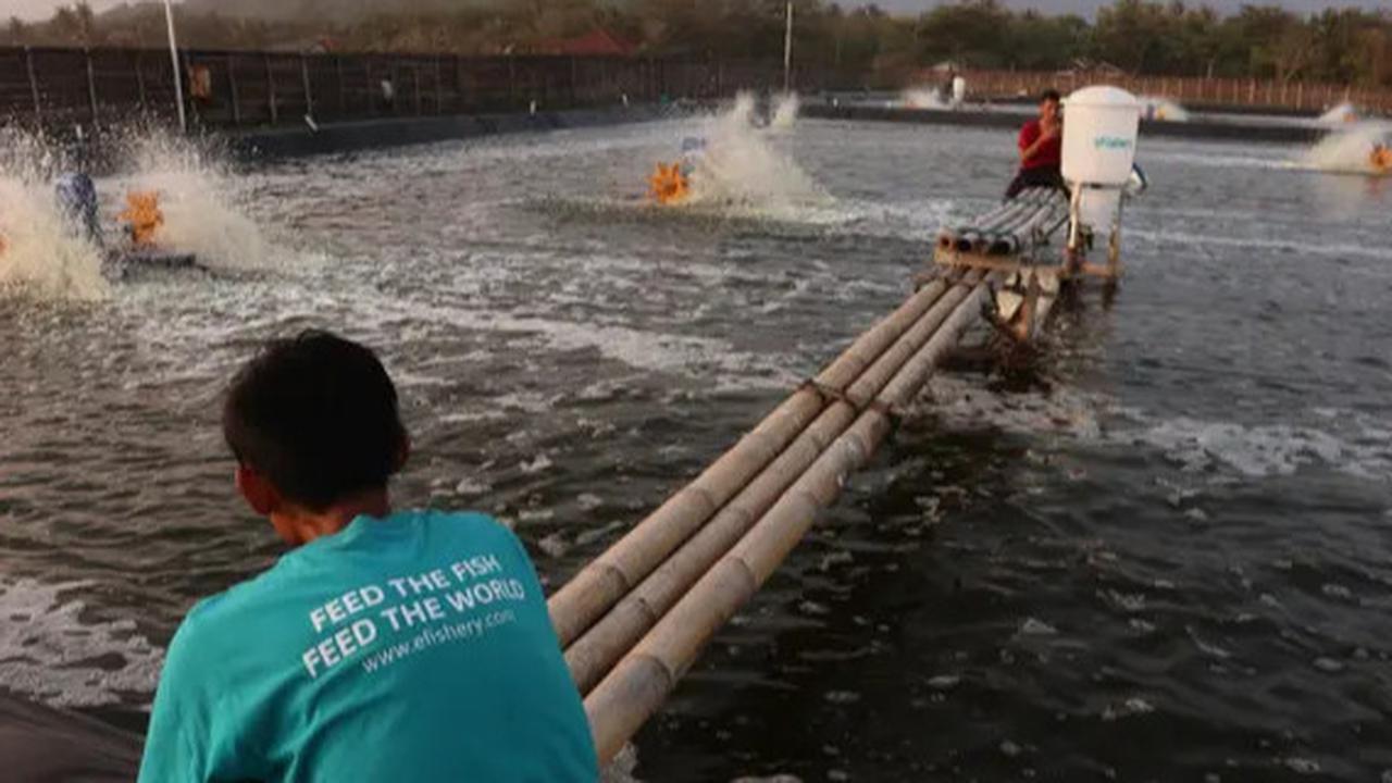 eFishery Tunjuk FTI Consulting Jadi Manajer di Tengah Dugaan Penyelidikan Penipuan