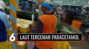 Penelitian dalam Jurnal Science Direct mengungkapkan bahwa perairan Teluk Jakarta terkontaminasi kandungan obat paracetamol tinggi di Muara Angke dan Ancol. Nelayan pun mengaku kerap melihat air laut berwarna merah kecoklatan serta banyak bangkai ika...