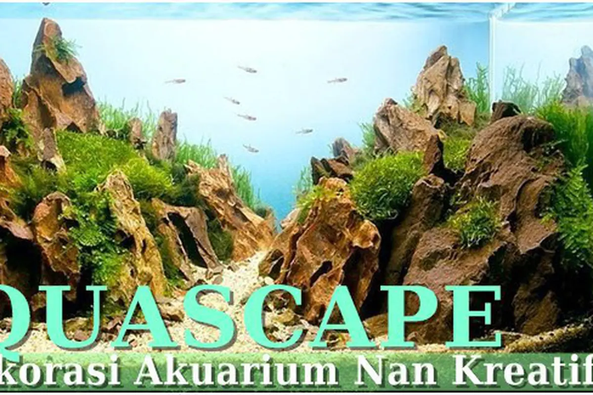 Foto: copyright amusingplanet.com
