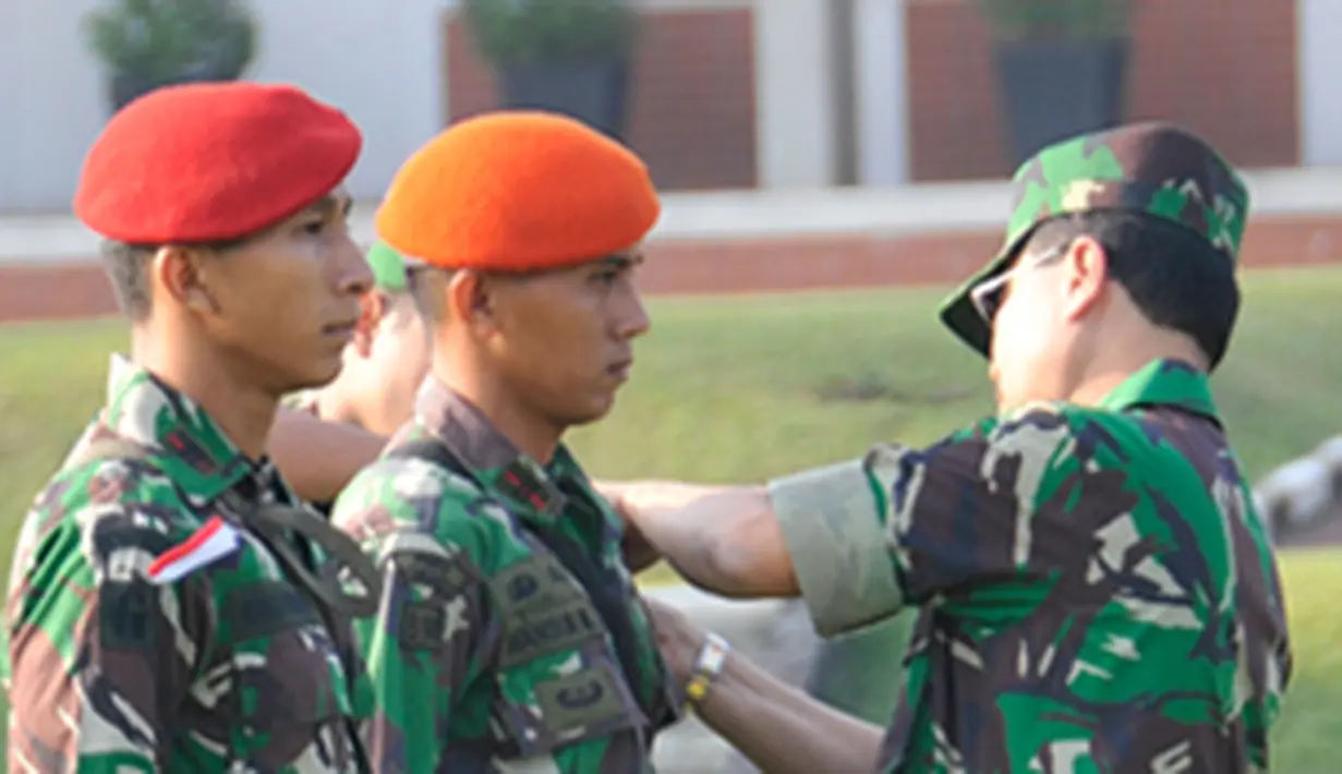 liputan6
