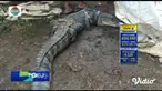 Fokus Pagi mengangkat berita-berita di antaranya, Lokasi Wisata Diserbu Pengunjung, Puluhan Wisatawan Ditemukan Reaktif Covid-19, Kawanan Jambret Incar Pesepeda, Serangan Teror Tewaskan 3 Orang Di Prancis.