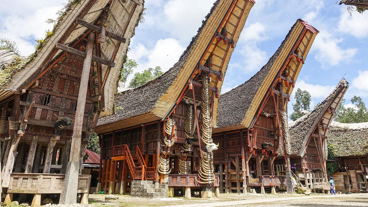 ilustrasi tempat wisata di Tana Toraja, Sulawesi Selatan