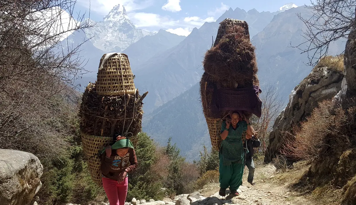 Sejumlah warga membawa kayu bakar yang diambil dari sebuah hutan di Lembah Khumbu, kaki Gunung Everest, Nepal, pada 14 April 2016. (REUTERS/Antoni Slodkowski)