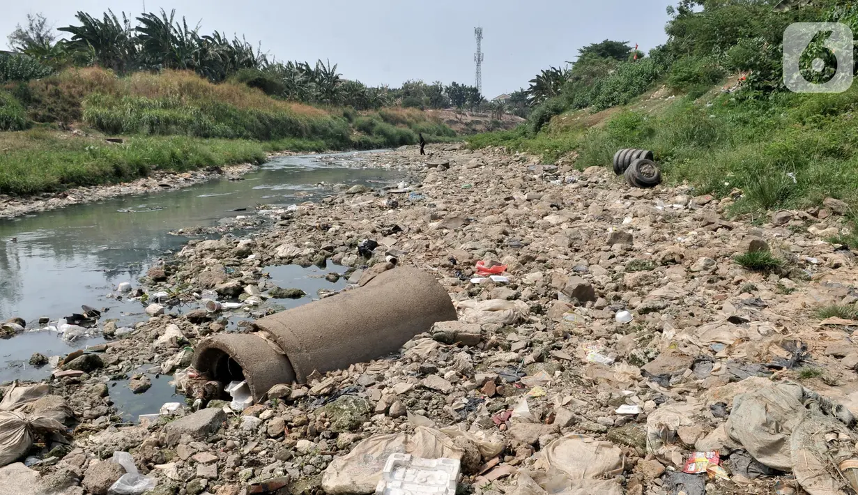 Pemandangan aliran Kali Bekasi yang menyurut di kawasan Margahayu, Bekasi, Jawa Barat, Selasa (8/10/2019). Menurunnya debit air mengakibatkan banyak ikan mati dan rawan tercemar limbah karena Kali Bekasi menjadi sumber air baku utama bagi PDAM Tirta Patriot. (merdeka.com/Iqbal Nugroho)