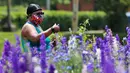 Seorang pria Debbie Sankara menggunakan ponselnya untuk mengabadikan foto bunga liar Texas di tengah kekhawatiran penyebaran COVID-19 di Richardson, Texas, Selasa, (28/4/2020).  (AP Photo / LM Otero)