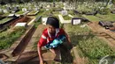 Seorang pengurus makam membersihkan salah satu kuburan yang mulai ditumbuhi rumput liar di TPU Karet Bivak, Jakarta, Minggu (11/1/2015). (Liputan6.com/Miftahul Hayat)