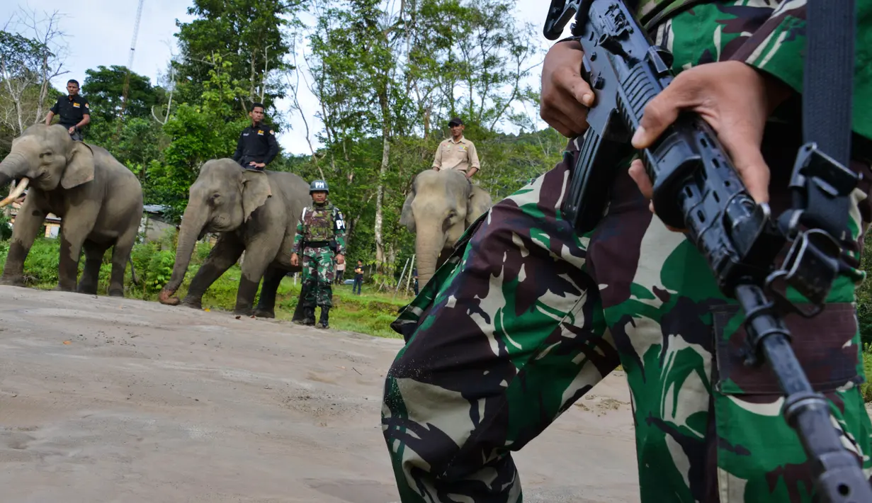 Seorang polisi militer bersama penjaga taman nasional dan pawang gajah (mahout) melakukan patroli keliling hutan di kawasan hutan Ulue Masen, provinsi Aceh, Sabtu (27/4/2019). Patroli keliling tersebut guna menjaga kelestarian alam dan satwa liar dari ancaman kepunahan. (CHAIDEER MAHYUDDIN/AFP)