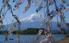 Jepang Umumkan Kenaikan Biaya Visa Secara Signifikan, Pertama Kali dalam Hampir Lima Dekade