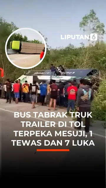 Bus Tabrak Truk Trailer di Tol Terpeka Mesuji, 1 Tewas dan 7 Luka