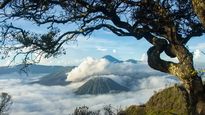 Wisata Gunung di Jawa Timur Terpopuler